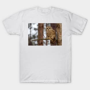 Barred Owl on a limb T-Shirt